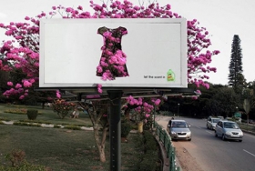 Размещение на Федеральных трассах 