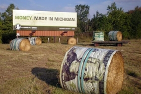 Размещение в городах Ленинградской обл.